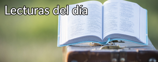 Lectura de la primera carta del apóstol san Juan (2,3-11):