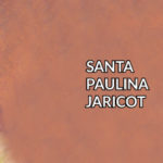 Santos