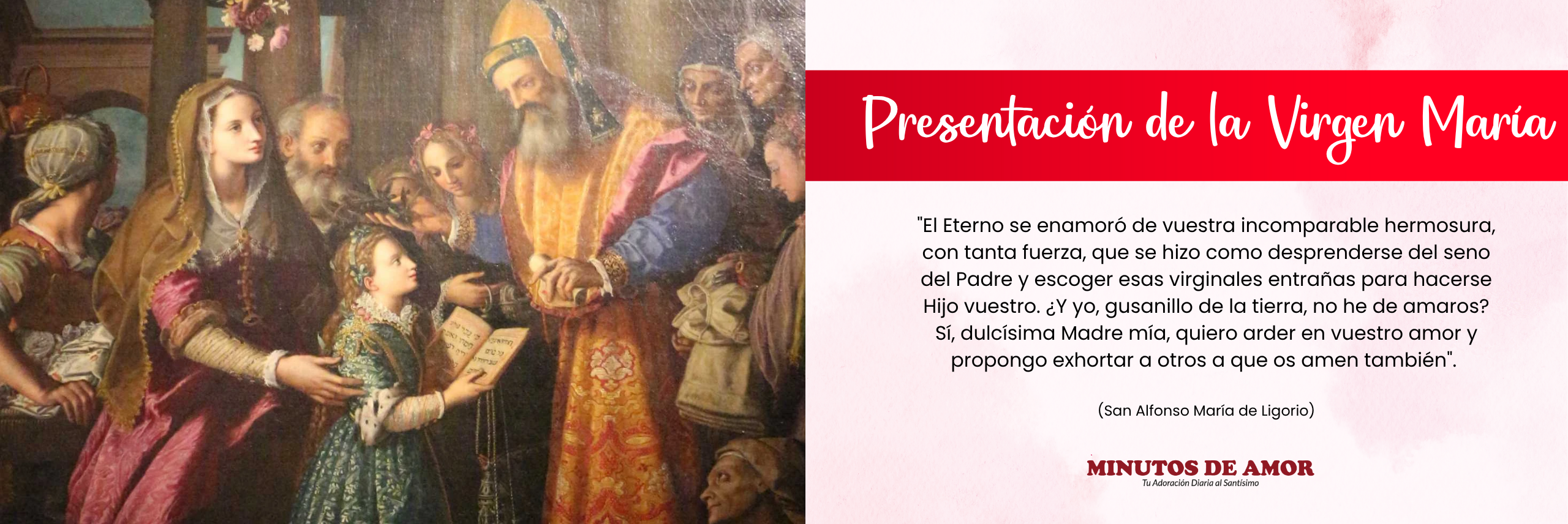 Banner Virgen María