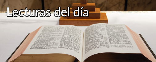 Lectura del primer libro de los Macabeos (6,1-13):