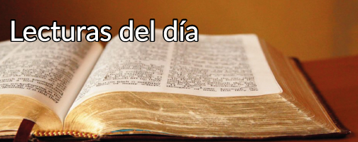 Lectura del libro de Job (19,21-27):