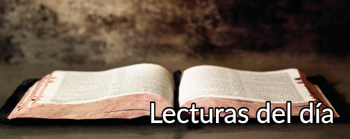 Lectura de la profecía de Daniel (7,13-14):