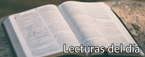 Lectura del libro del Apocalipsis (14,1-3.4b-5):