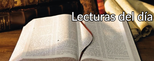 Lectura del libro del Apocalipsis (11,4-12):