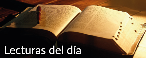 Lectura de la carta del apóstol san Pablo a los Romanos 1, 16-25﻿