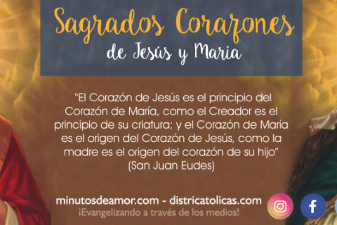 «YO ESTARÉ CON USTEDES TODOS LOS DÍAS HASTA EL FIN DEL MUNDO» (Mt 28, 20)