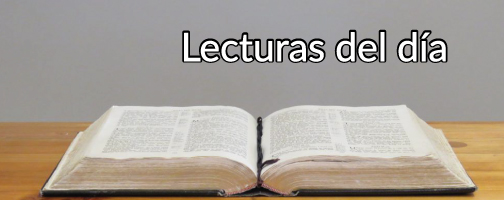 Lectura del primer libro de los Reyes 19, 16b. 19-21