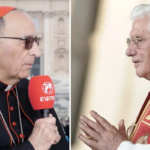 ¿Cuál es el legado de Benedicto XVI? Cardenal responde Noticias