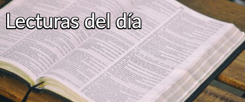 Lectura del libro de Job 9, 1-12. 14-16