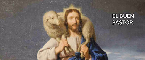 «VENGAN A MÍ QUE YO LOS ALIVIARÉ»