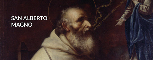 San Alberto Magno
