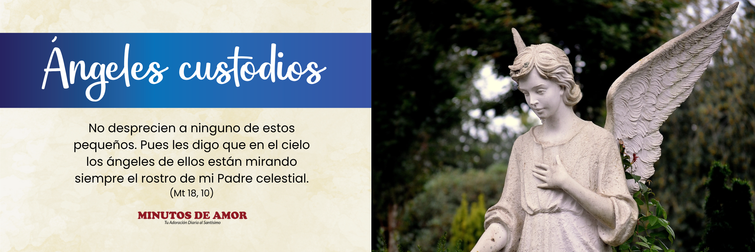 Banner angeles custodios