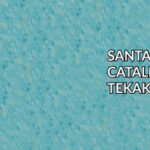 Santa Catalina Tekakwitha